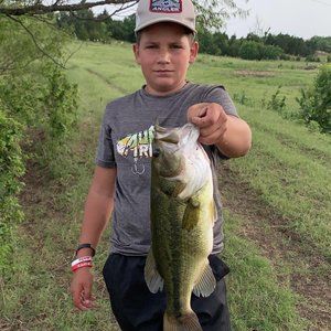 Meet your Posher, Brendyn